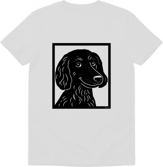 Camiseta Costelinha (alternativa)